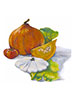 ilustrace-chmelova-2014_Herbar_011.jpg